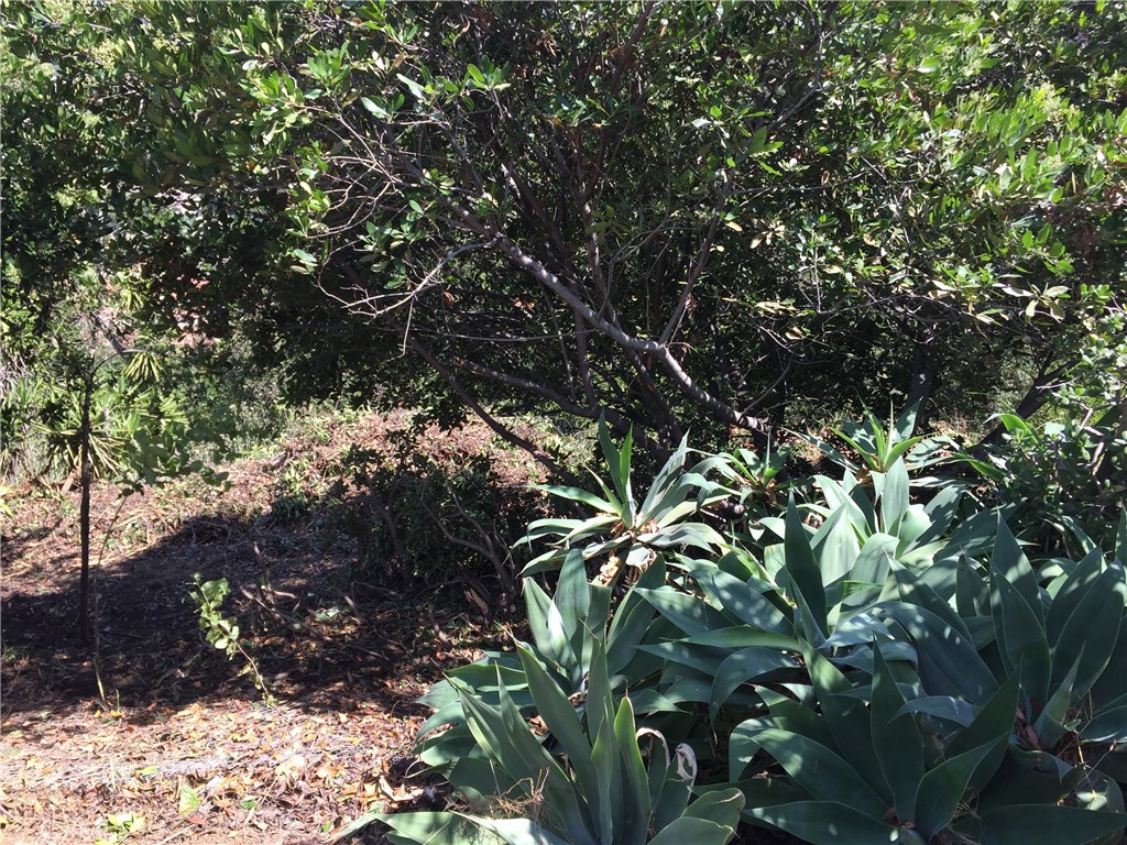 0 Garvey Property Photo 22