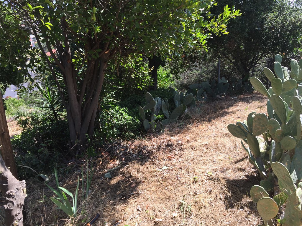 0 Garvey Property Photo 23