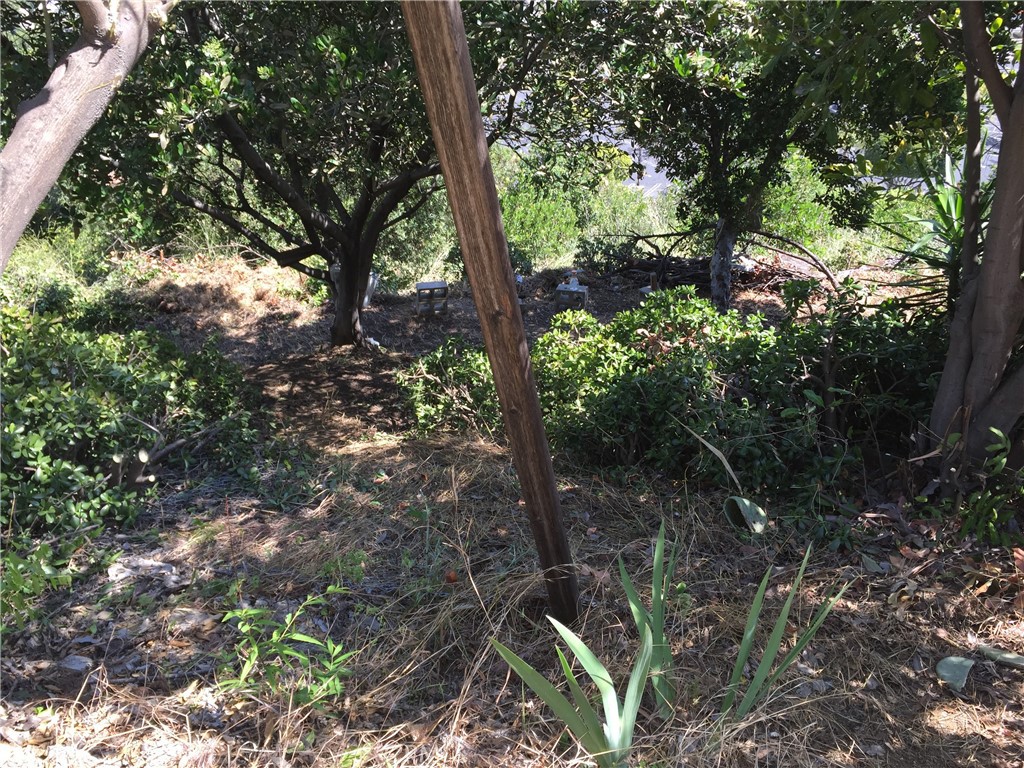 0 Garvey Property Photo 24
