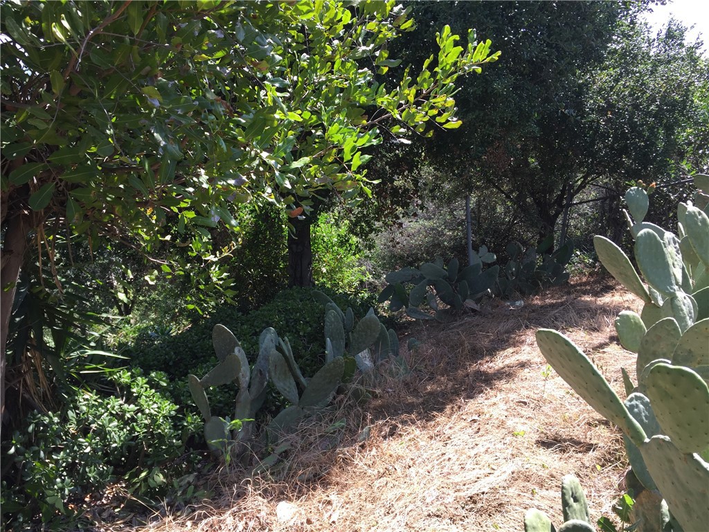 0 Garvey Property Photo 25