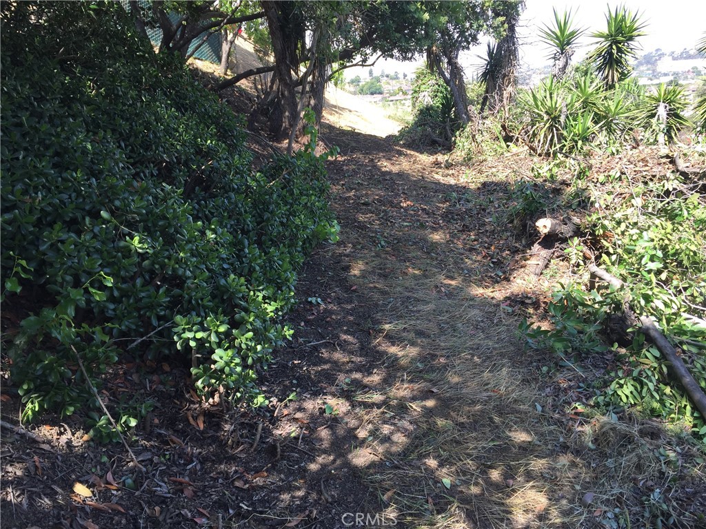 0 Garvey Property Photo 30