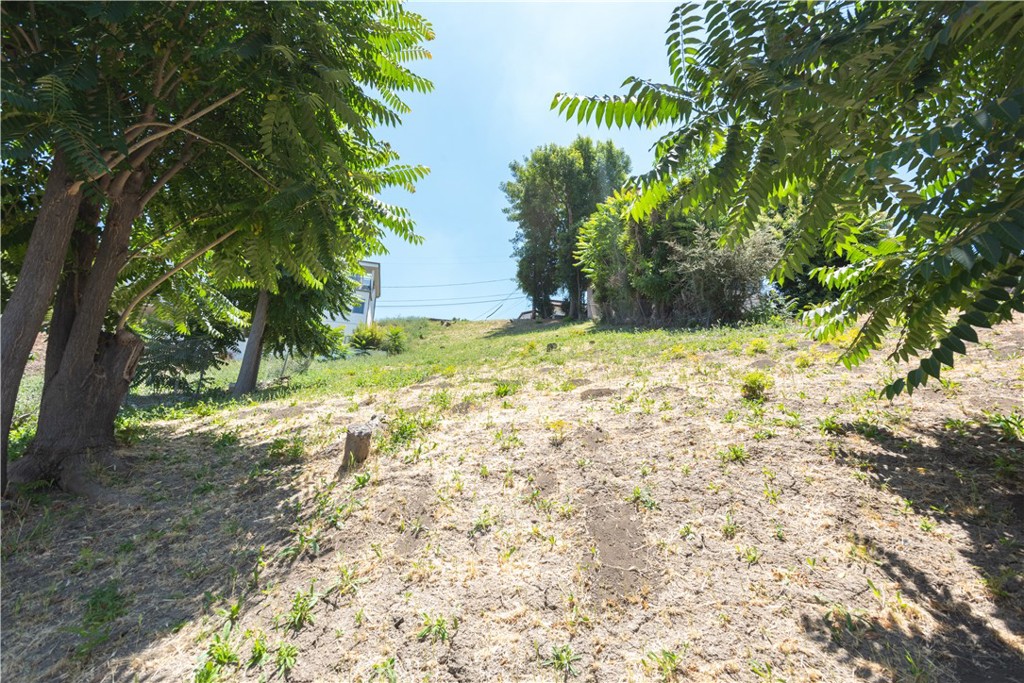5011 La Calandria Property Photo 5