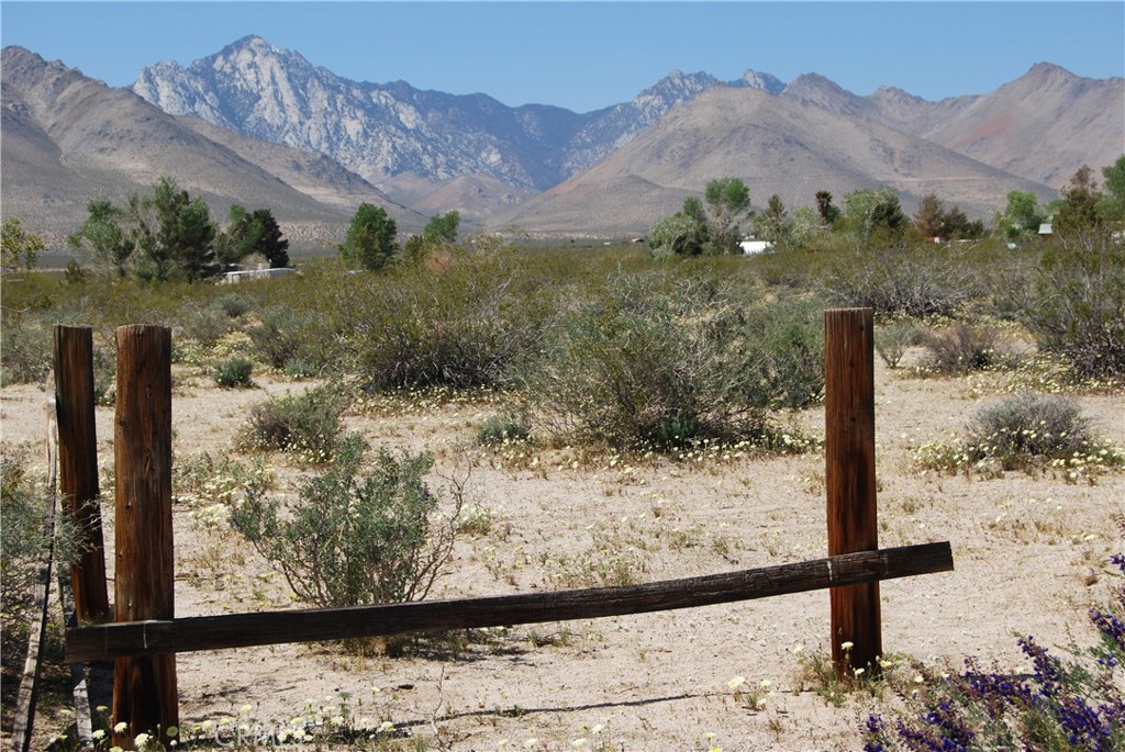 0 Avenida Del Sol Property Photo