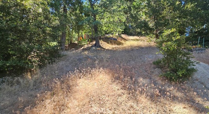 25126 Jewel Drive Property Photo 2