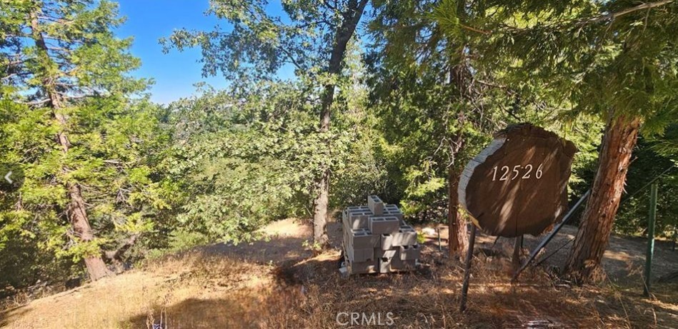 25126 Jewel Drive Property Photo 3