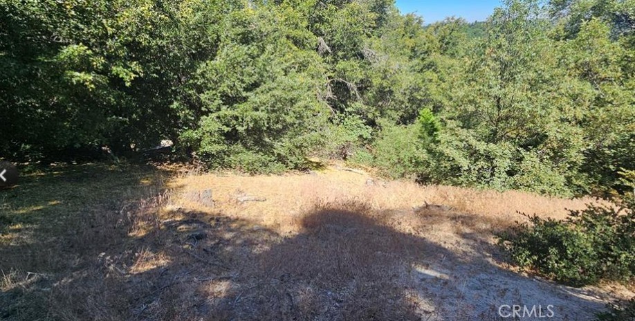 25126 Jewel Drive Property Photo 4