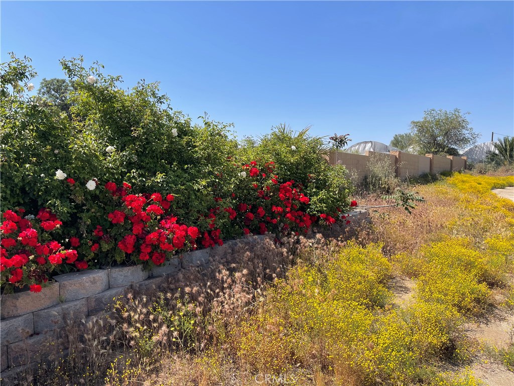 22285 Old Elsinore Road Property Photo 6