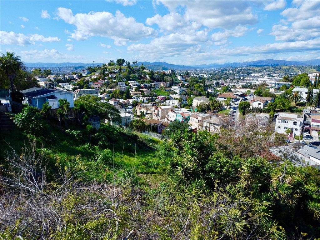 3621 Meisner Street Property Photo 8