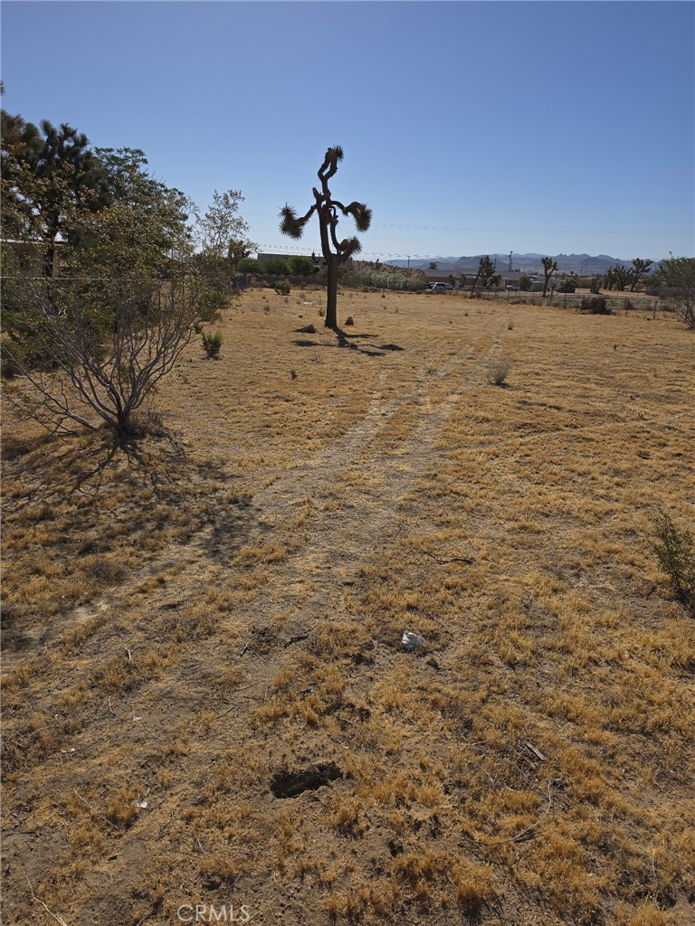 6295 Ruth Property Photo 7