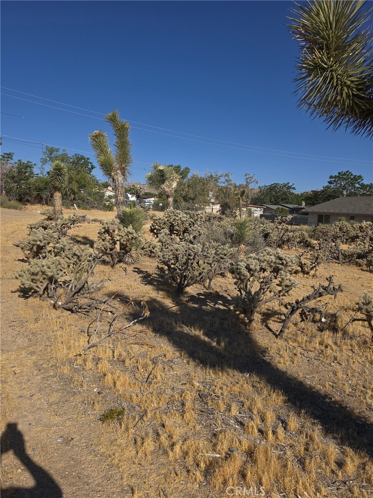 6388 Goleta Property Photo 3