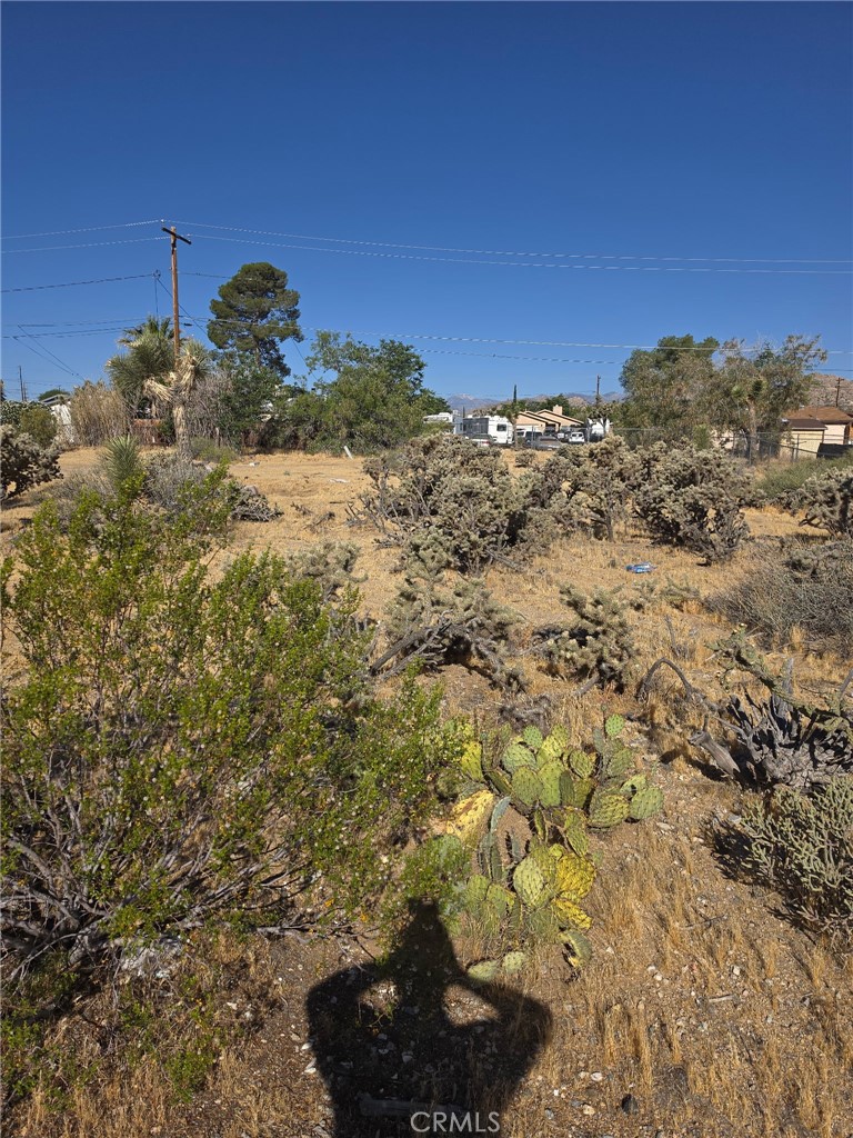6388 Goleta Property Photo 4