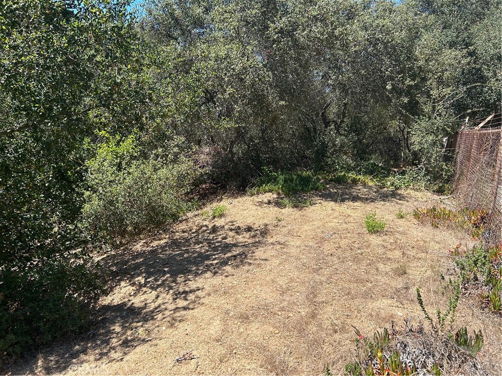 2451 Nalin Dr Property Photo 15