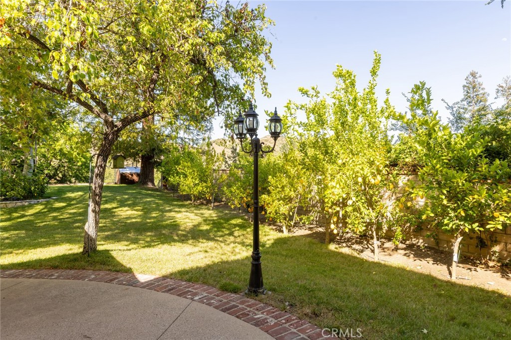29155 Old Mill Creek Property Photo 70
