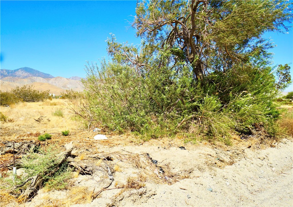 0 0 Property Photo 2