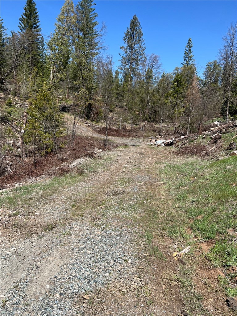 6493 Greeley Hill Road Property Photo 8