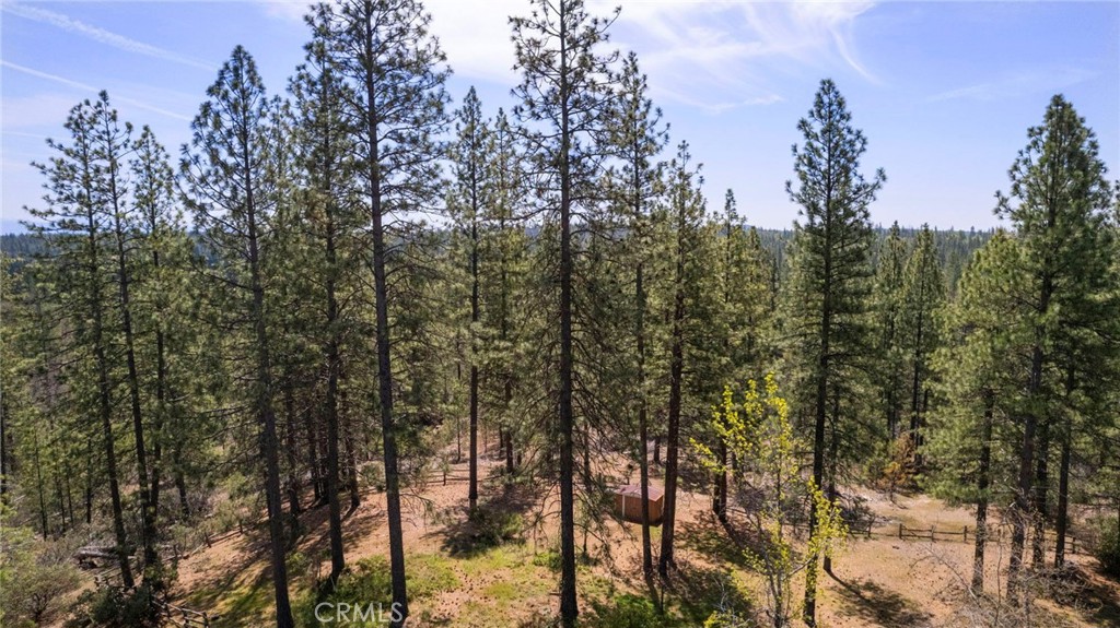 10379 Mcmahon Road Property Photo 11