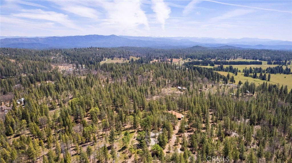 10379 Mcmahon Road Property Photo 17