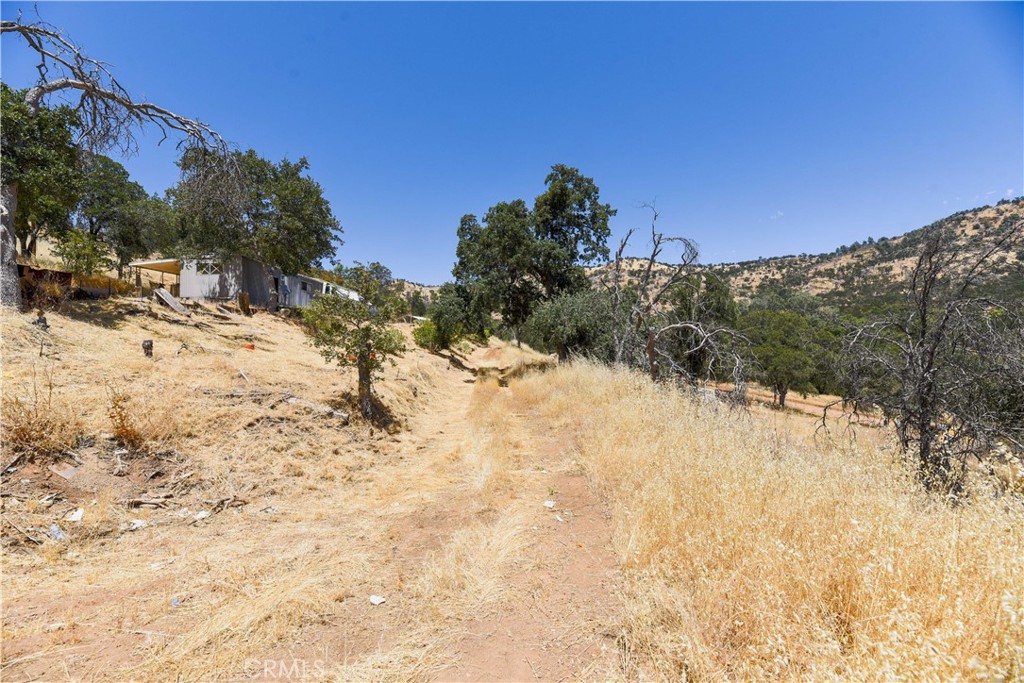 3101 Trower Road Property Photo 6