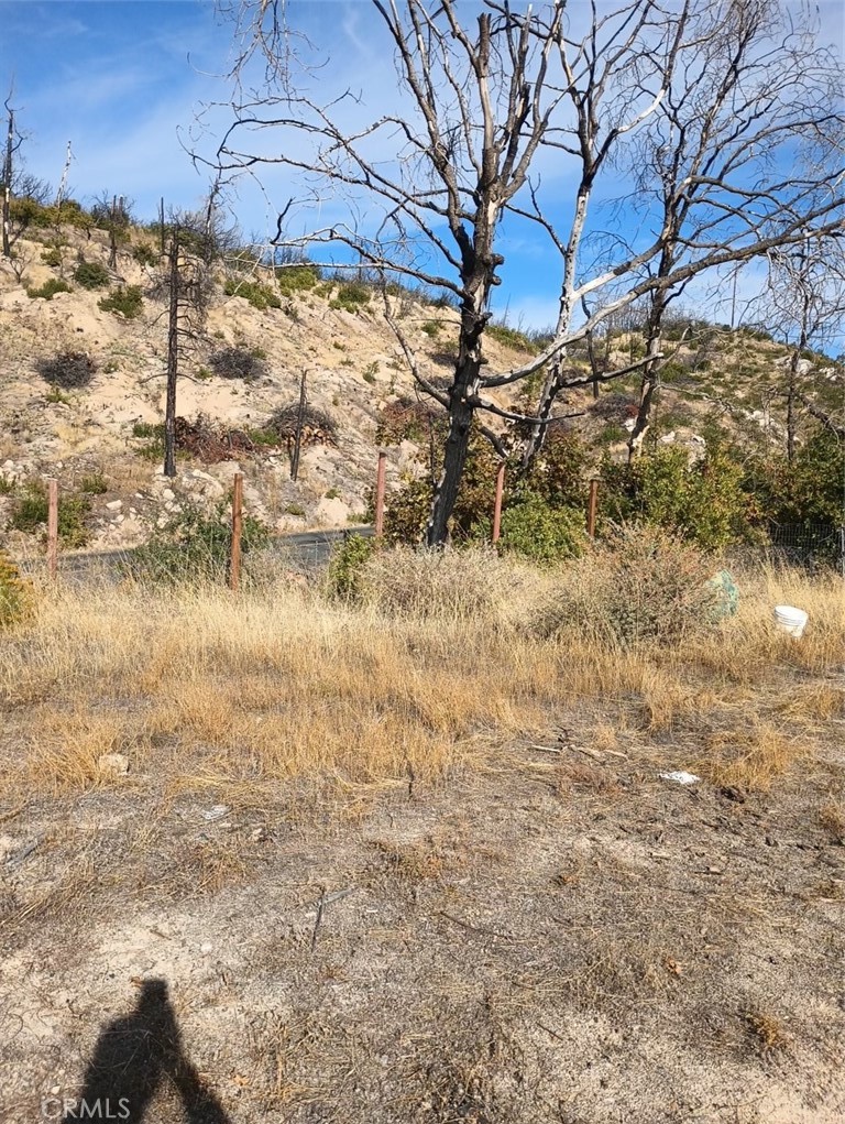 1364 Lumpkin Road Property Photo 3