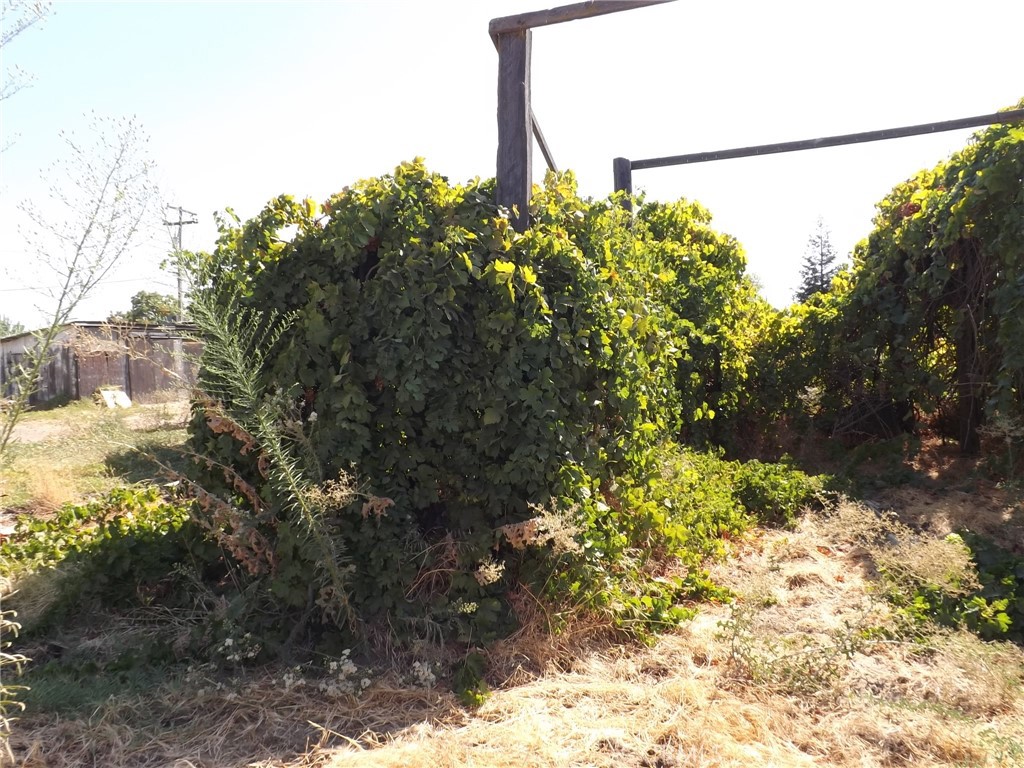 1400 Shaffer Road Property Photo 11