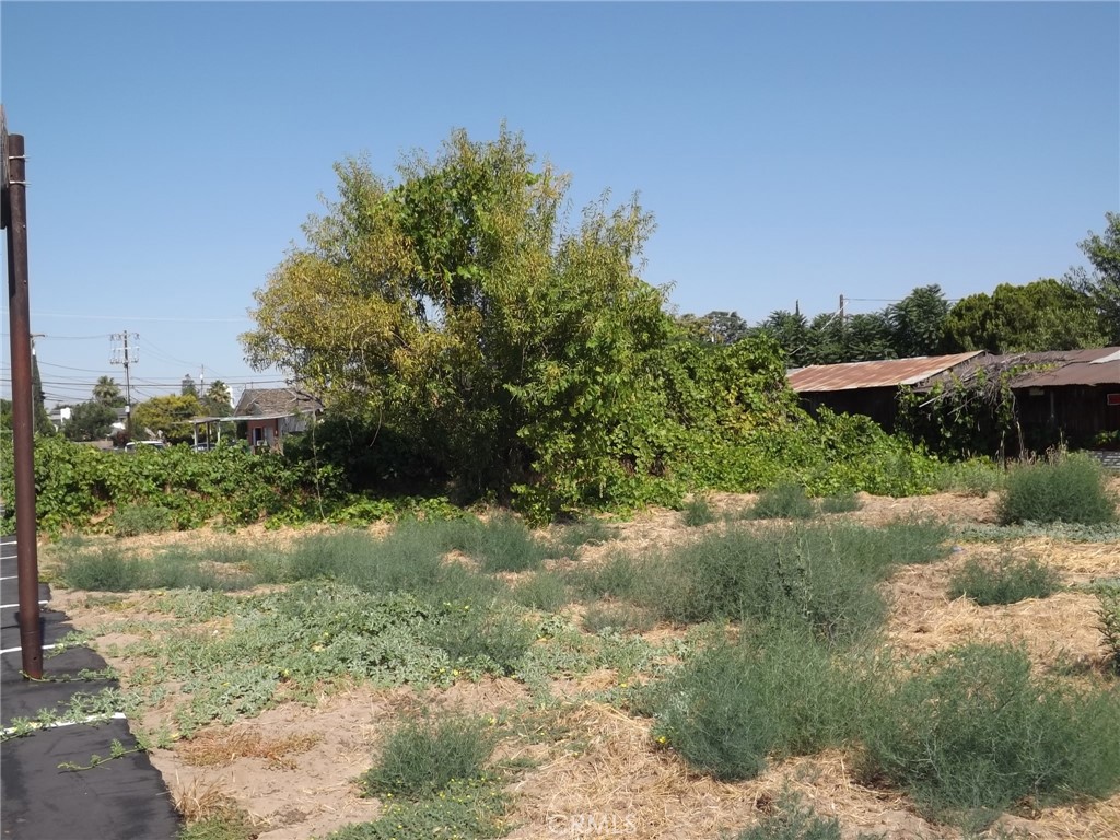 1400 Shaffer Road Property Photo 21