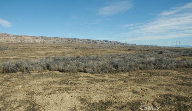 0 Bellflower Road Property Photo
