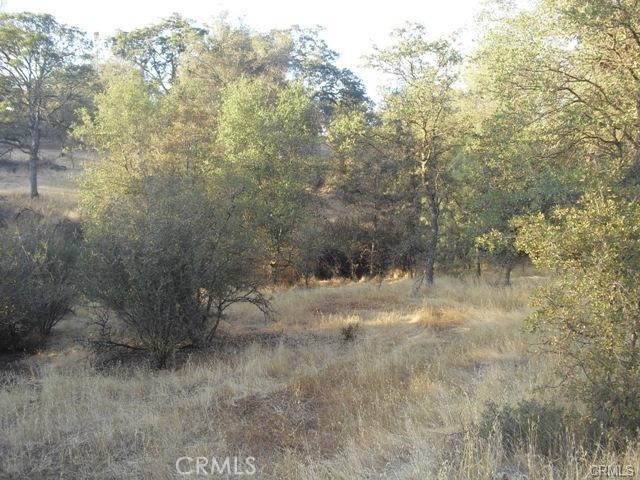 Coulterville Real Estate Listings Main Image