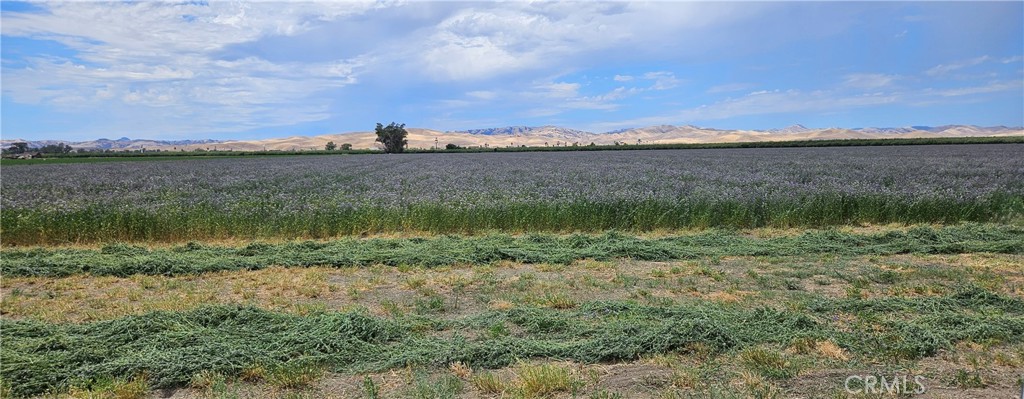 26749 Cottonwood Road Property Photo 1