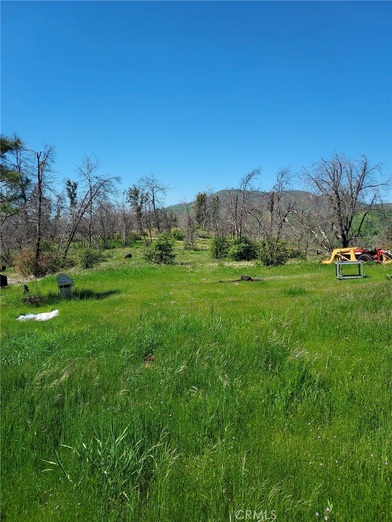 3109 Wild Dove Lane Property Photo