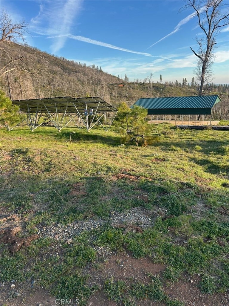 3109 Wild Dove Lane Property Photo 8