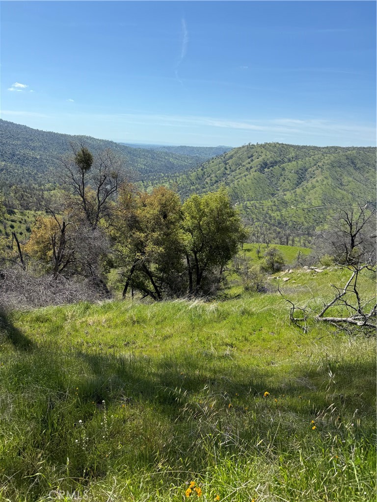 38914 Road 810 Property Photo 4