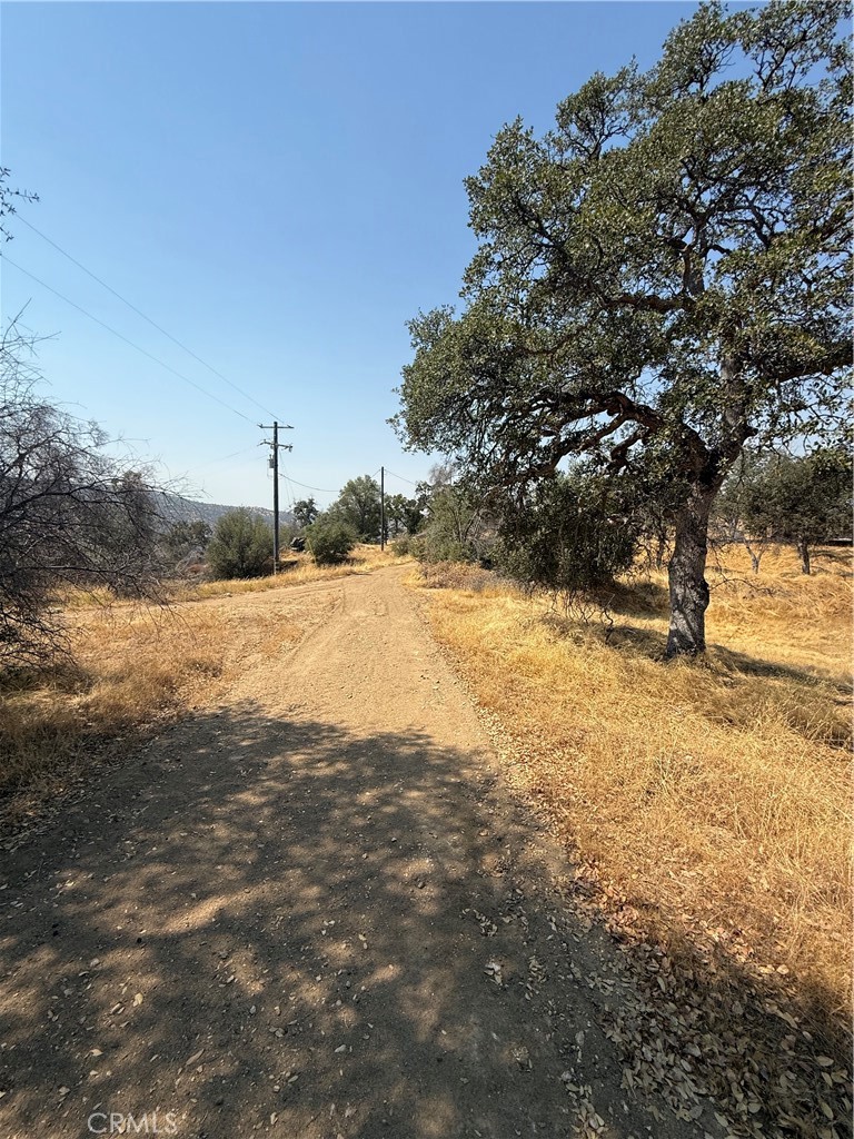 38914 Road 810 Property Photo 46