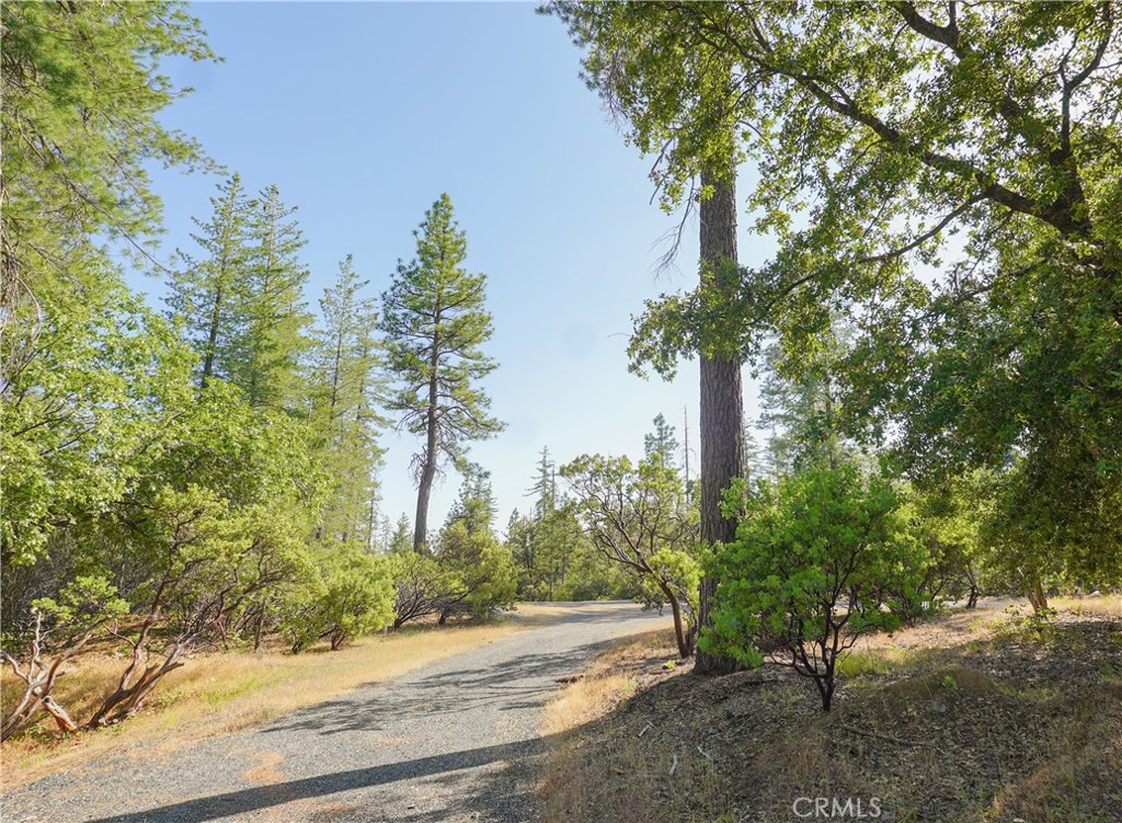 5990 Sugar Pine Drive Property Photo 32