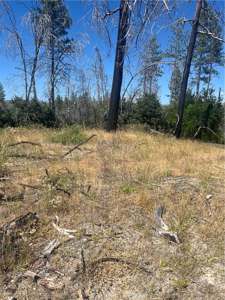 122 Simpson Ranch Road Property Photo
