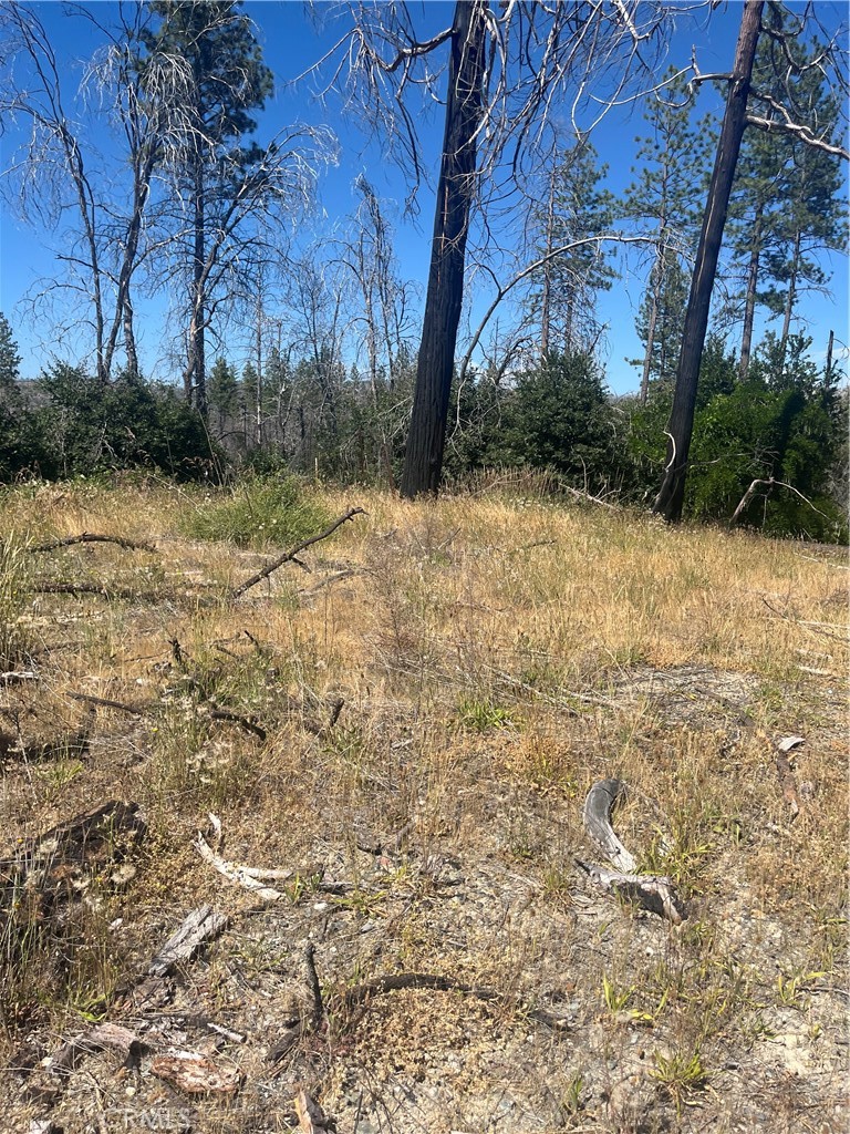 122 Simpson Ranch Road Property Photo 1