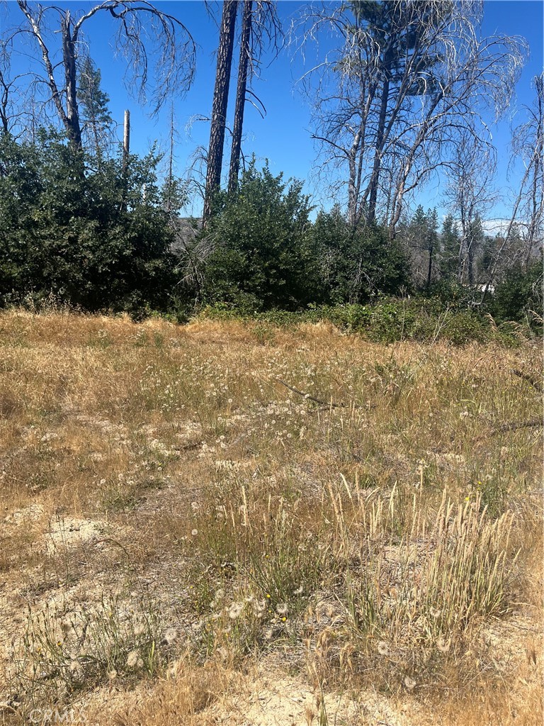 122 Simpson Ranch Road Property Photo 2