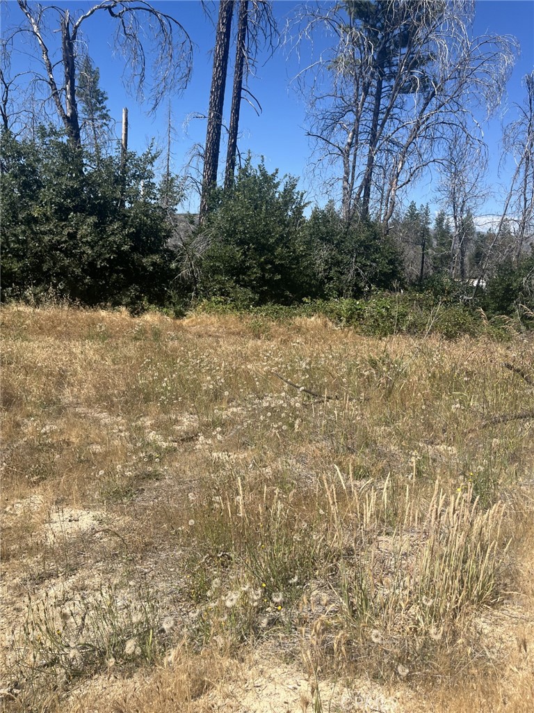 130 Simpson Ranch Road Property Photo 2