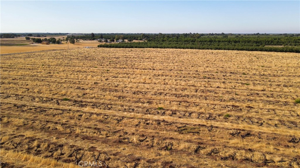 2507 S. Escalon Belotta Road Property Photo 13
