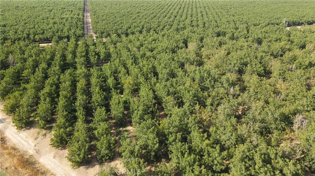 2507 S. Escalon Belotta Road Property Photo 16