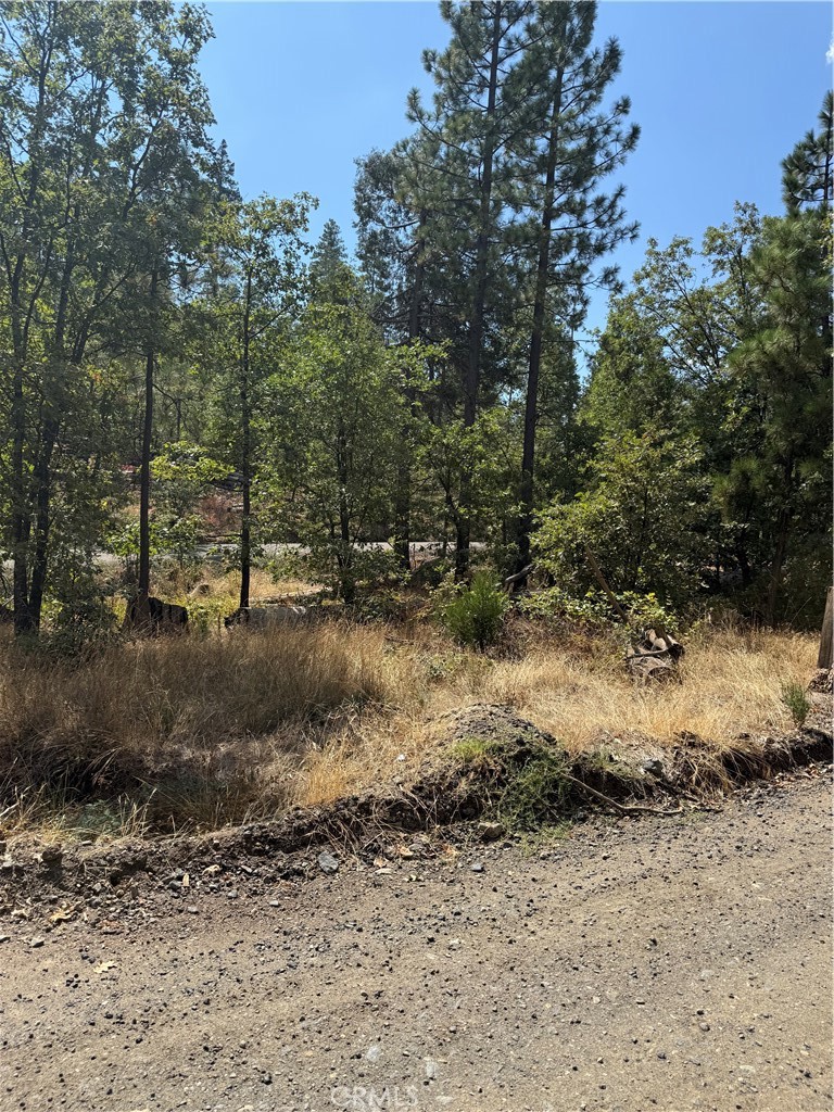6479 Pine Drive Property Photo 10
