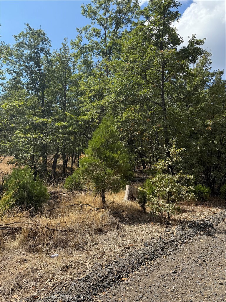 6479 Pine Drive Property Photo 11