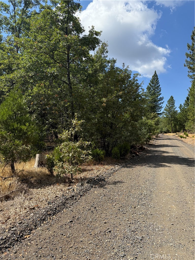 6479 Pine Drive Property Photo 12