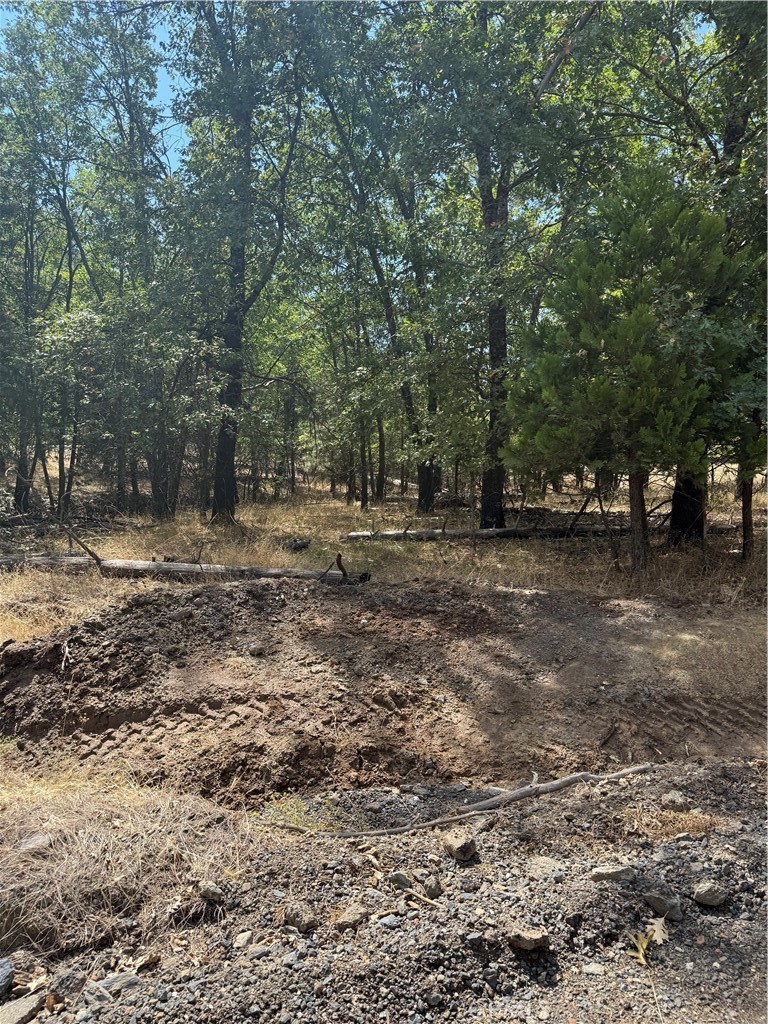 6479 Pine Drive Property Photo 13