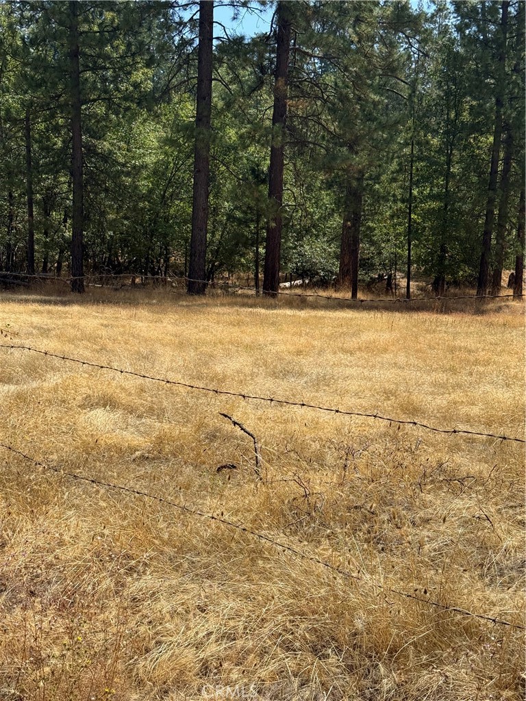 6479 Pine Drive Property Photo 14