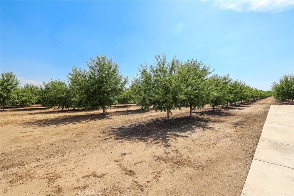 10391 Gillette Road Property Photo 5