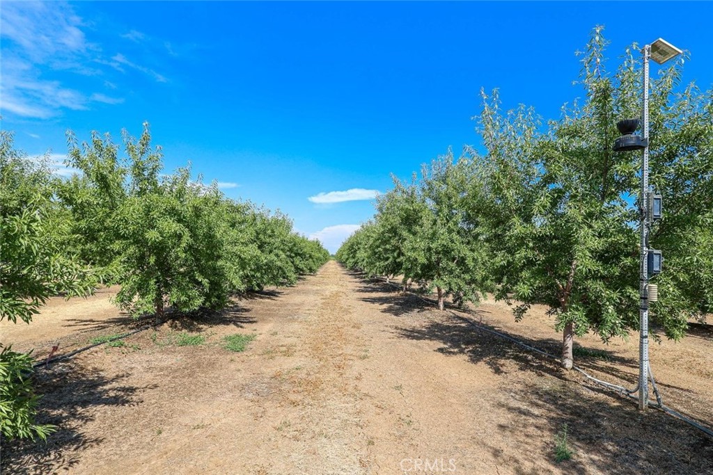 10391 Gillette Road Property Photo 8