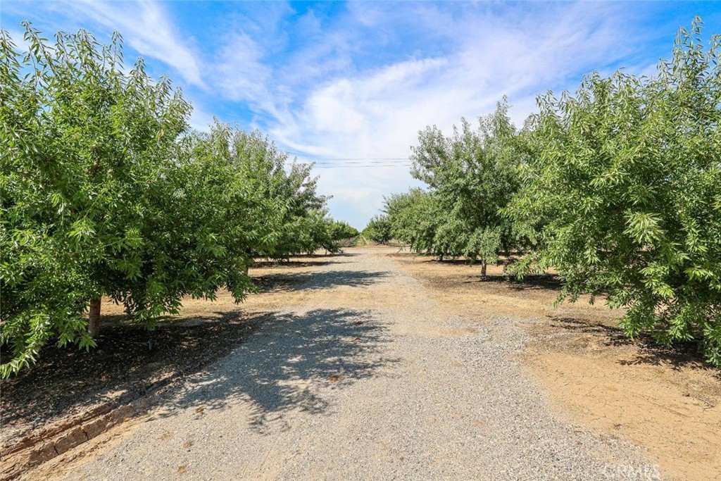 10391 Gillette Road Property Photo 23