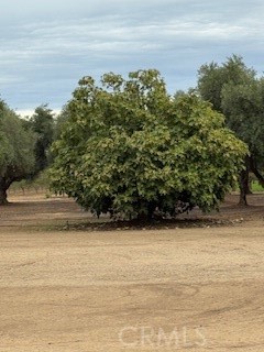 0 Kibby Property Photo 5