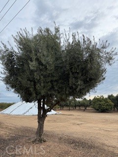 0 Kibby Property Photo 6