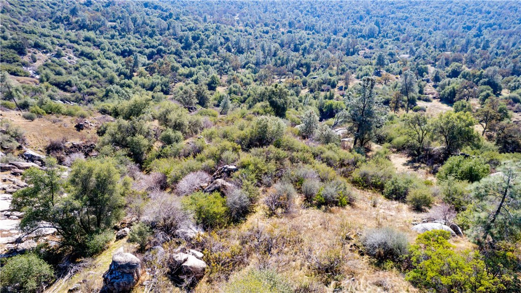 4658 Little Bear Property Photo 2